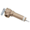 Water Heater T & P Valve, 3-In.