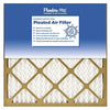 Pinch-Pleated Furnace Filter, 20x30x1-In.